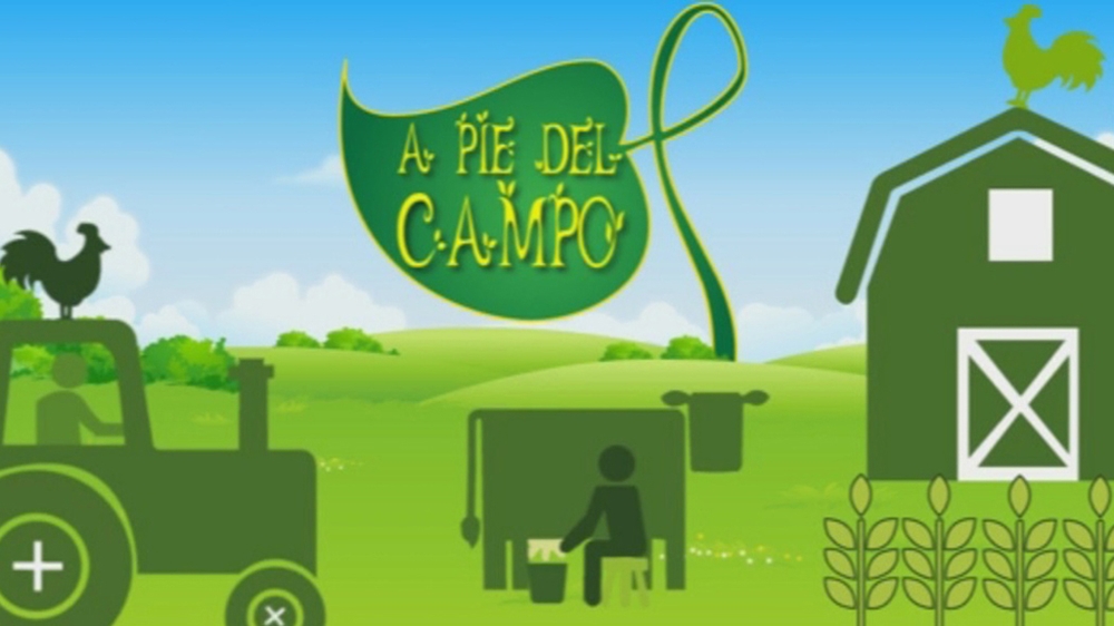 A pie del campo