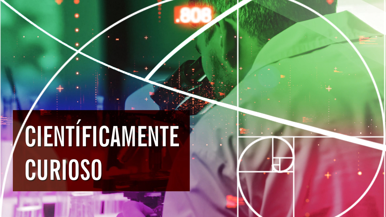 Científicamente Curioso