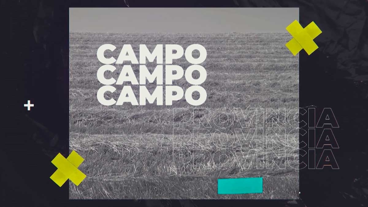 Campo y provincia