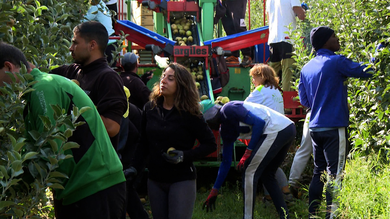 Los sectores que se beneficiarán de la regularización de inmigrantes