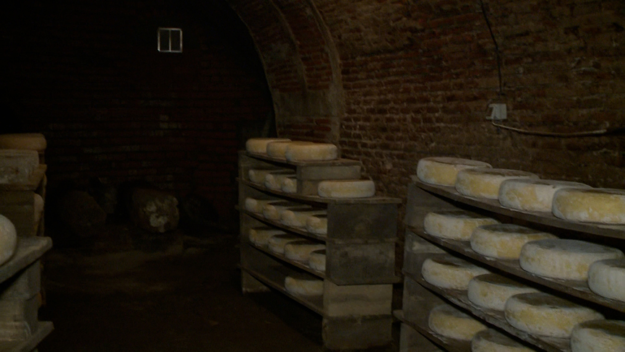 La maduración en bodega: el aliado científico para un queso único