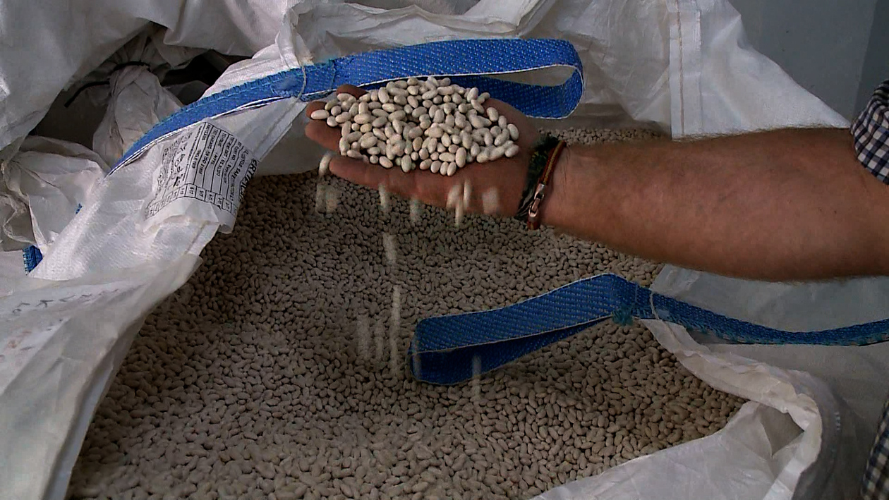 Castilla y León lidera la producción de legumbres en España