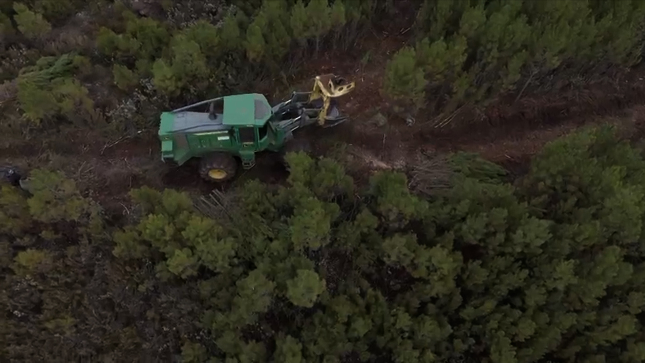 Castrocontrigo estrena un centro de biomasa para prevenir incendios