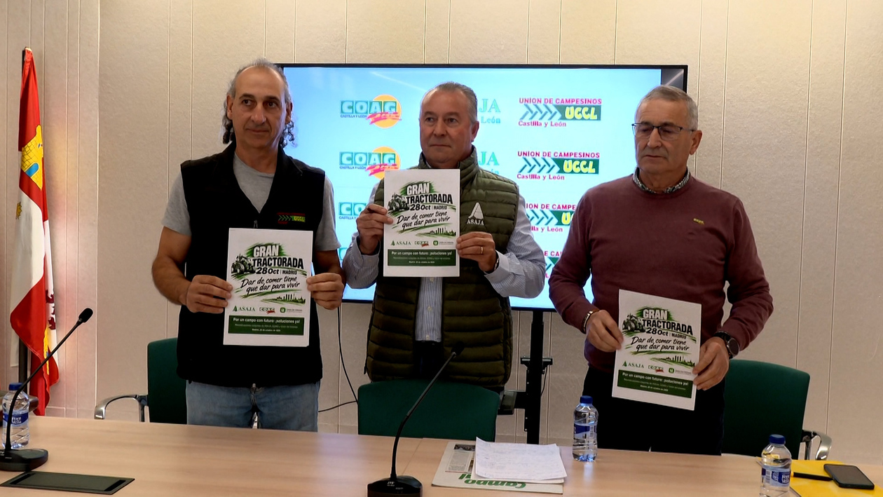 La ruina del cereal empuja a los agricultores de Castilla y León a la gran tractorada de Madrid