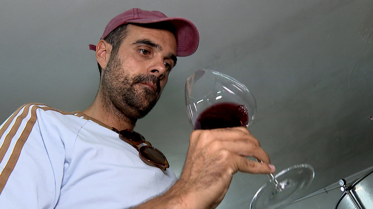 Bodega Septien: La ilusión embotellada que conquista los restaurantes Estrella Michelin y comenzó en un garaje de Burgos