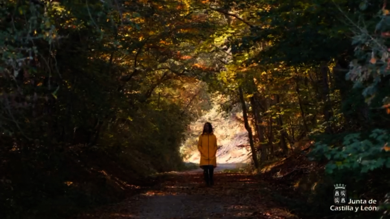 Un viaje que merezca la pena