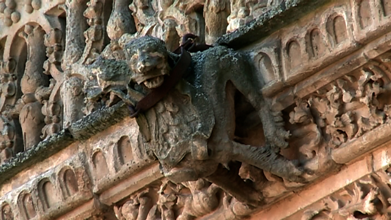 Cae un fragmento de una gárgola de la catedral nueva de Salamanca por el temporal